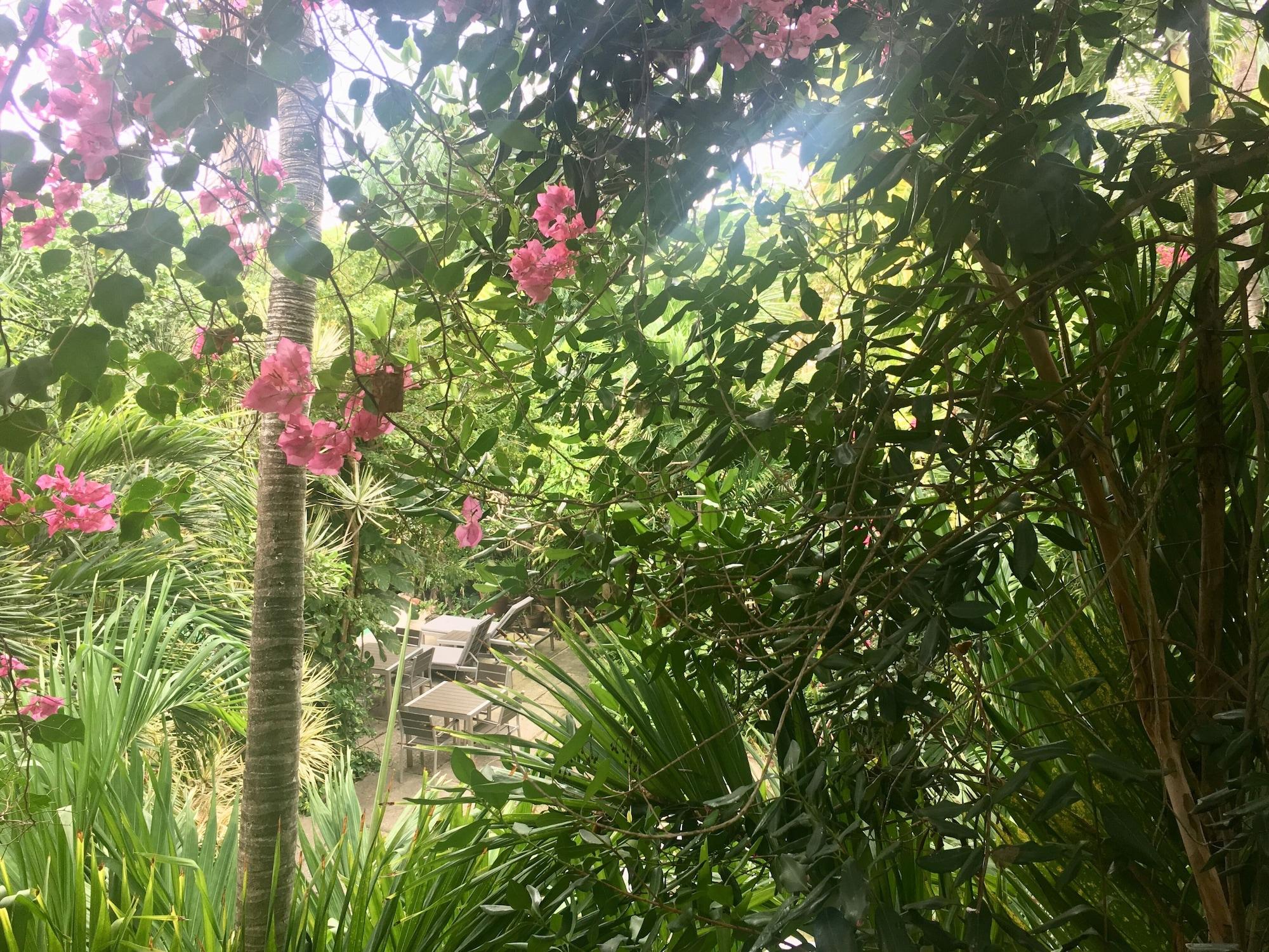 Siboney Beach Club St. John's المظهر الخارجي الصورة